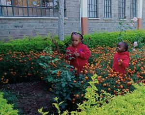 Learners take a walk in the School garden